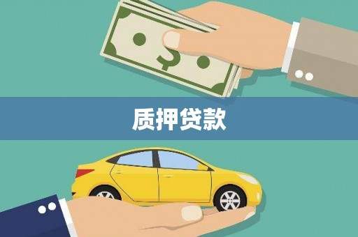 肥东质押贷款
