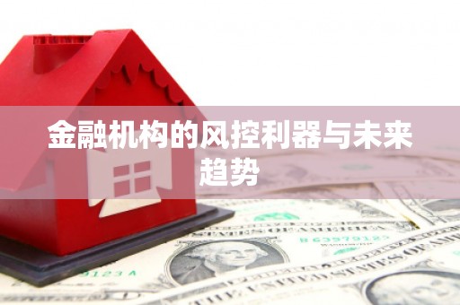 肥东金融机构的风控利器与未来趋势