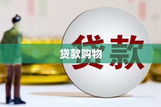 肥东贷款购物