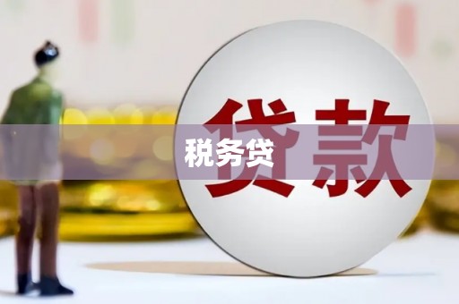 肥东税务贷