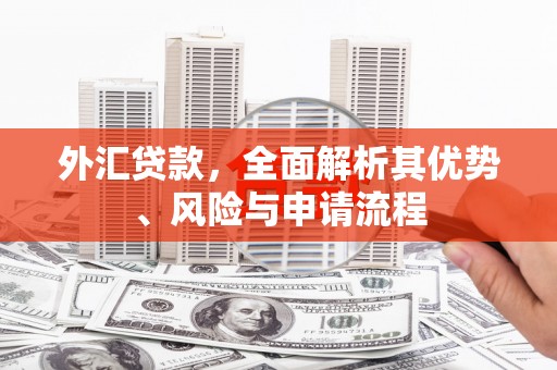 肥东外汇贷款，全面解析其优势、风险与申请流程