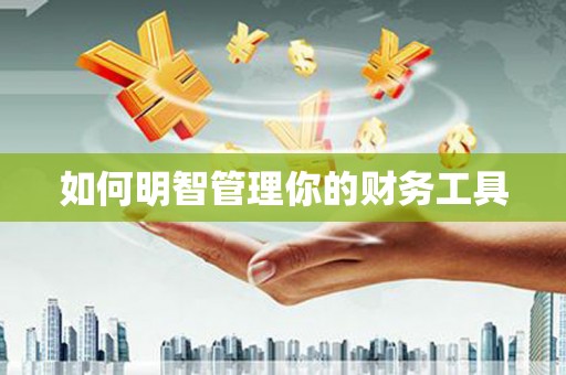 肥东如何明智管理你的财务工具