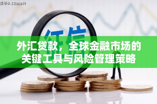 肥东外汇贷款，全球金融市场的关键工具与风险管理策略