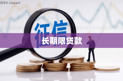 肥东长期限贷款