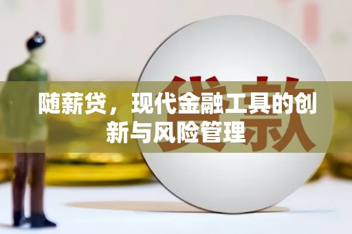 肥东随薪贷，现代金融工具的创新与风险管理