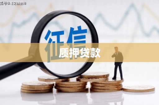 肥东质押贷款