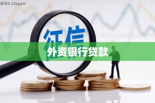肥东外资银行贷款