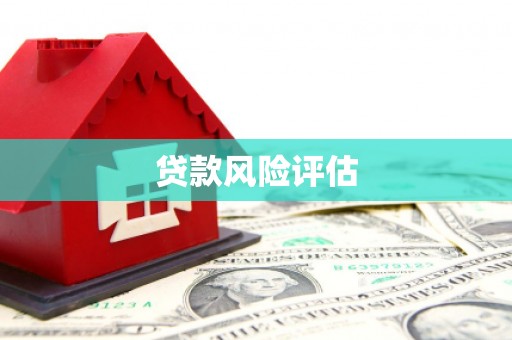 肥东贷款风险评估