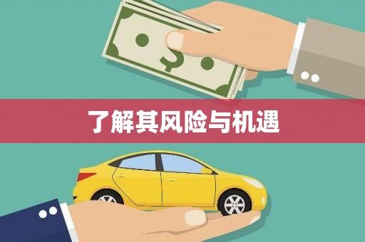 肥东了解其风险与机遇