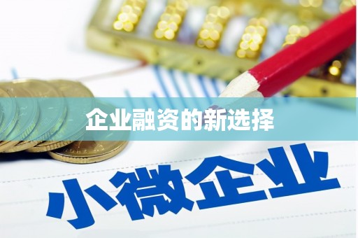 肥东企业融资的新选择