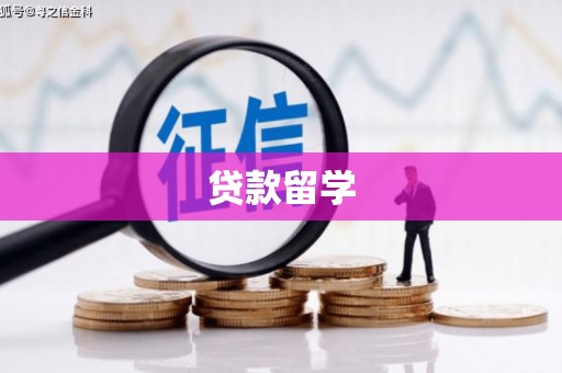 肥东贷款留学