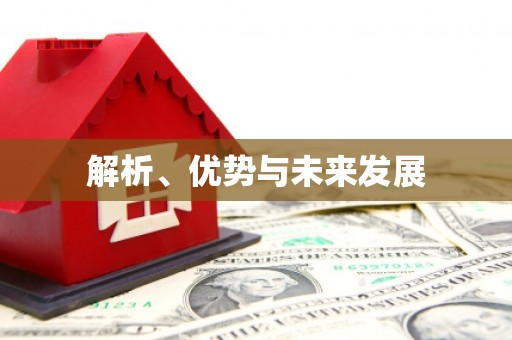 肥东解析、优势与未来发展