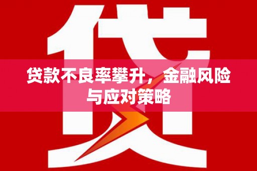 肥东贷款不良率攀升，金融风险与应对策略