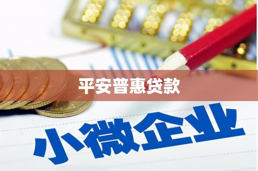 肥东平安普惠贷款