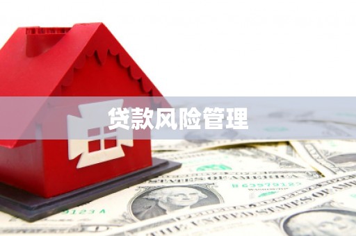 肥东贷款风险管理