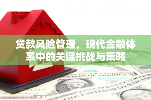 肥东贷款风险管理，现代金融体系中的关键挑战与策略