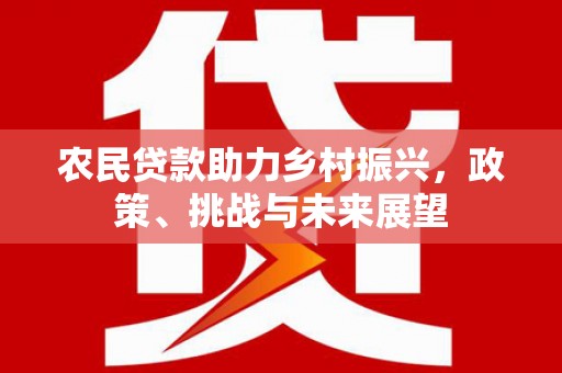 肥东农民贷款助力乡村振兴，政策、挑战与未来展望
