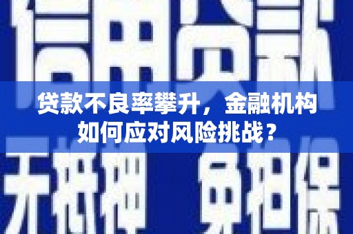 肥东贷款不良率攀升，金融机构如何应对风险挑战？