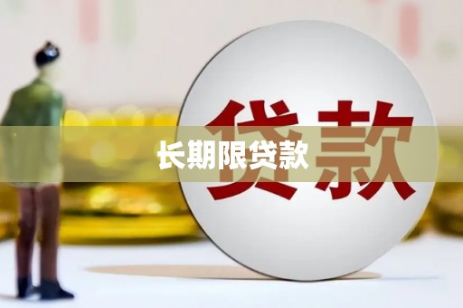 肥东长期限贷款