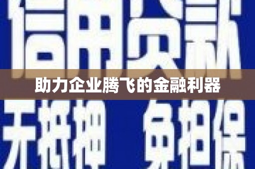 肥东助力企业腾飞的金融利器