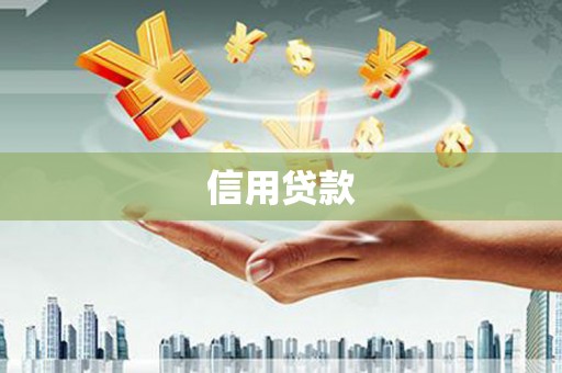 肥东信用贷款