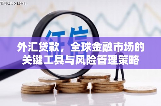 肥东外汇贷款，全球金融市场的关键工具与风险管理策略