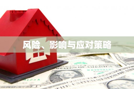 肥东风险、影响与应对策略