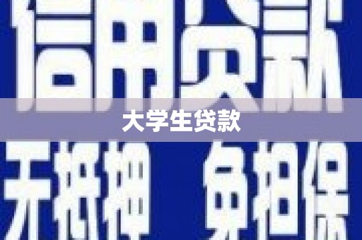 肥东大学生贷款
