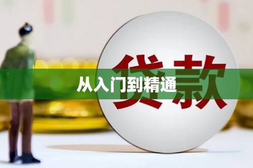 肥东从入门到精通