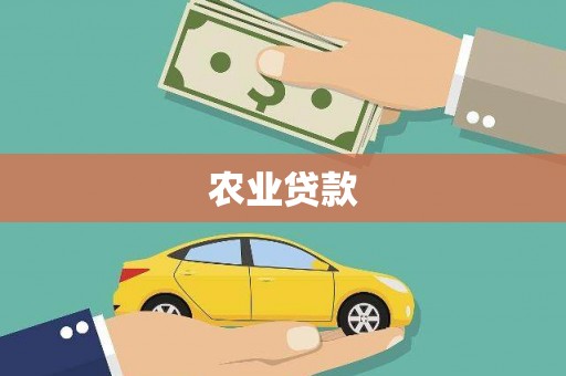肥东农业贷款