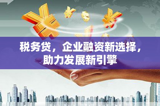 肥东税务贷，企业融资新选择，助力发展新引擎