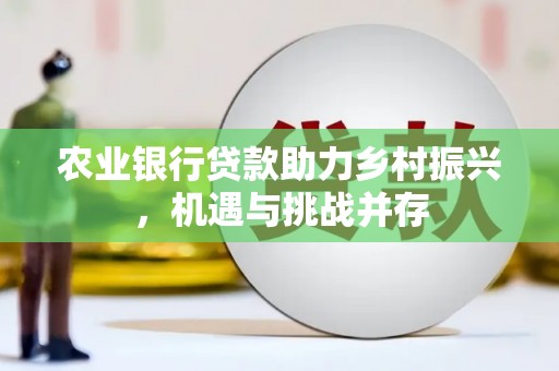 肥东农业银行贷款助力乡村振兴，机遇与挑战并存