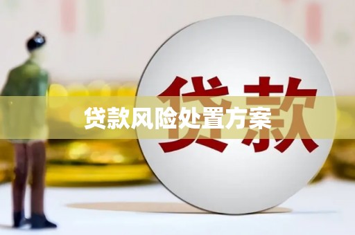 肥东贷款风险处置方案