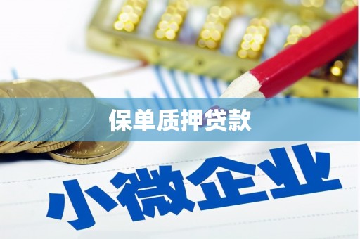 肥东保单质押贷款