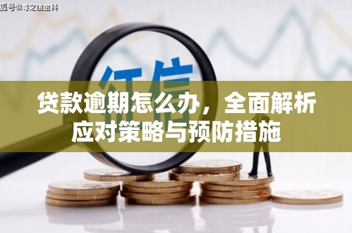 肥东贷款逾期怎么办，全面解析应对策略与预防措施