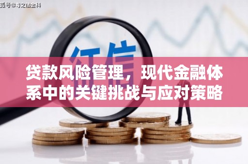 肥东贷款风险管理，现代金融体系中的关键挑战与应对策略