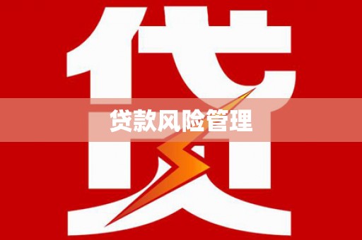 肥东贷款风险管理