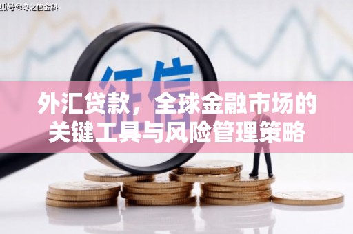 肥东外汇贷款，全球金融市场的关键工具与风险管理策略