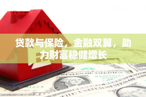 肥东贷款与保险，金融双翼，助力财富稳健增长
