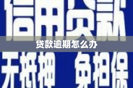 肥东贷款逾期怎么办