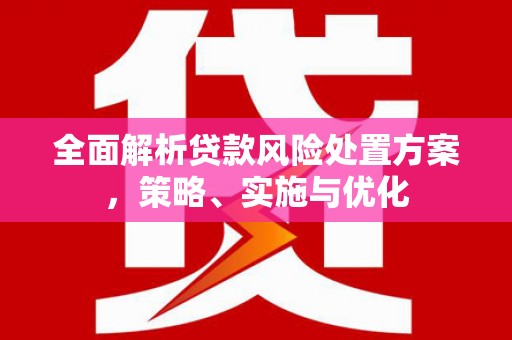 肥东全面解析贷款风险处置方案，策略、实施与优化