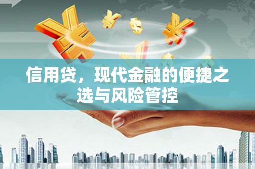 肥东信用贷，现代金融的便捷之选与风险管控