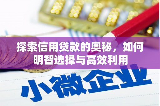 肥东探索信用贷款的奥秘，如何明智选择与高效利用