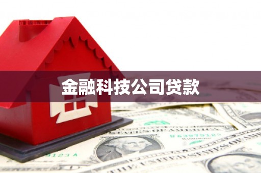 肥东金融科技公司贷款