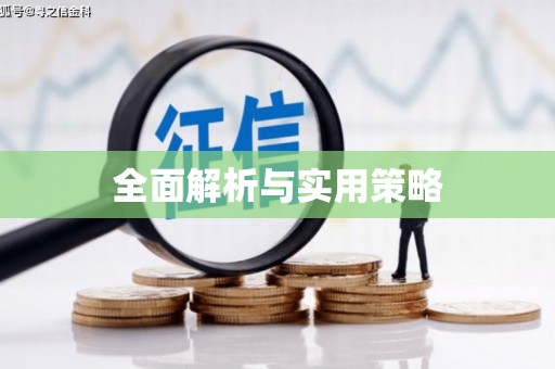 肥东全面解析与实用策略