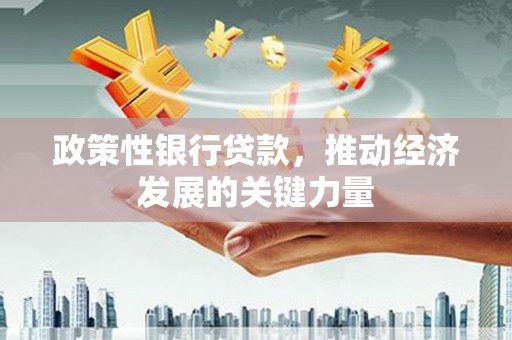肥东政策性银行贷款，推动经济发展的关键力量