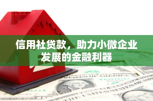 肥东信用社贷款，助力小微企业发展的金融利器