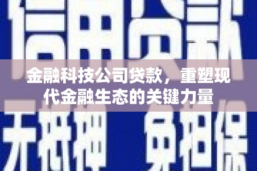 肥东金融科技公司贷款，重塑现代金融生态的关键力量