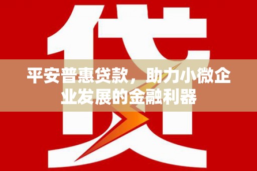 肥东平安普惠贷款，助力小微企业发展的金融利器