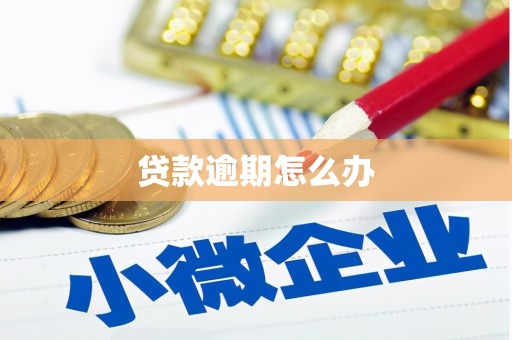 肥东贷款逾期怎么办